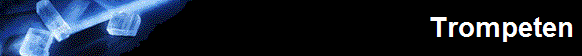  Trompeten 